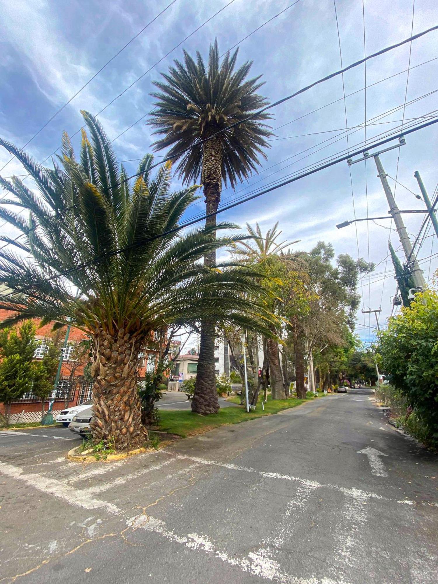 Modern Studio, Rooftop Charm, Cdmx Center2 Mexico City Exterior photo